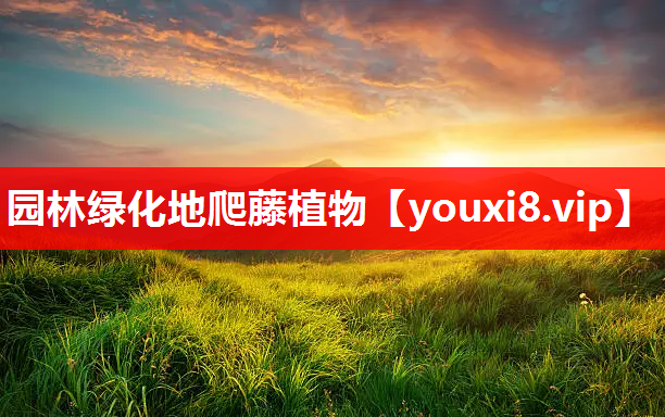 园林绿化地爬藤植物