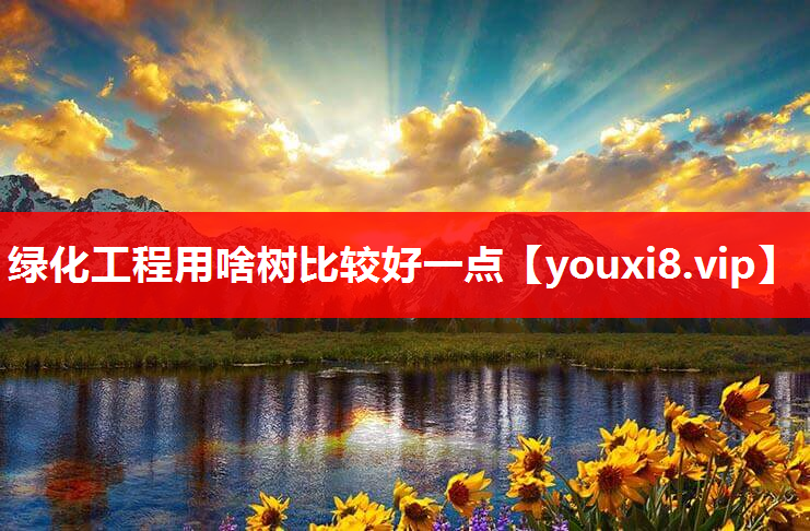 绿化工程用啥树比较好一点