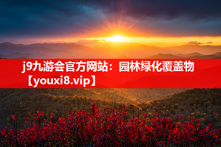 j9九游会官方网站：园林绿化覆盖物