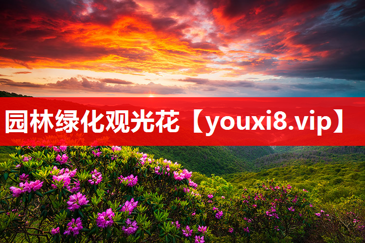 园林绿化观光花