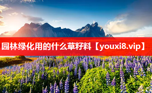 园林绿化用的什么草籽料