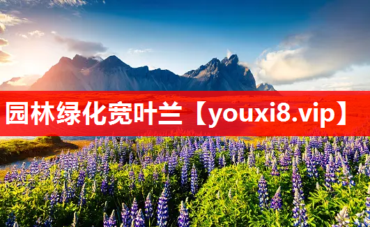 园林绿化宽叶兰
