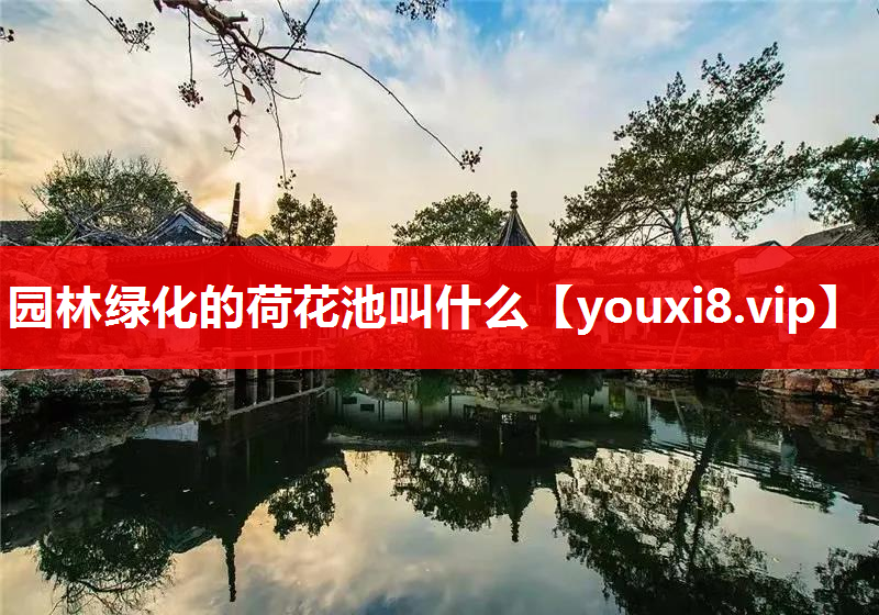 园林绿化的荷花池叫什么