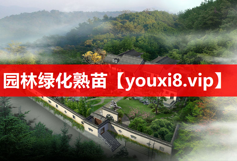 园林绿化熟苗