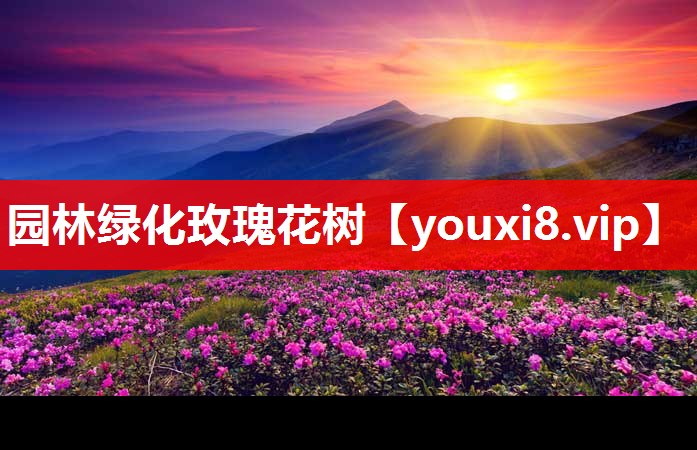 园林绿化玫瑰花树