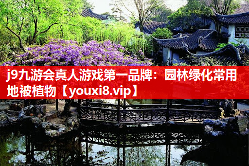 j9九游会真人游戏第一品牌：园林绿化常用地被植物
