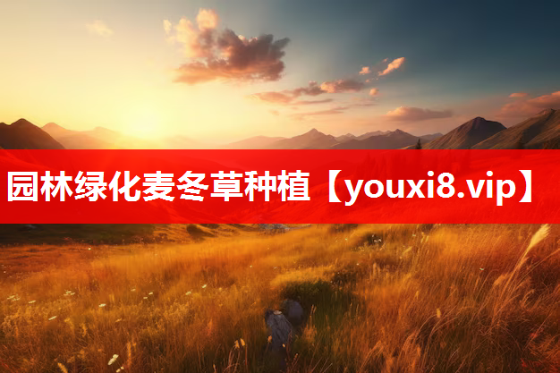 园林绿化麦冬草种植