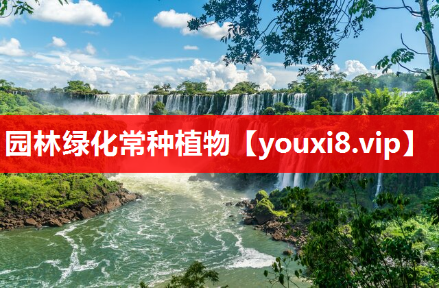 园林绿化常种植物