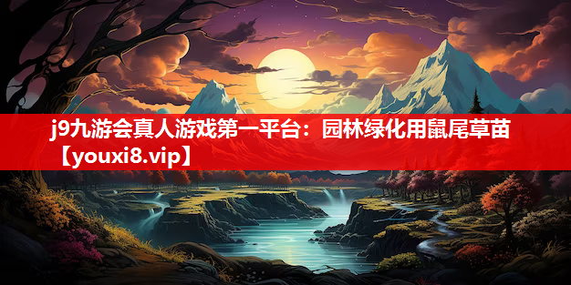 j9九游会真人游戏第一平台：园林绿化用鼠尾草苗