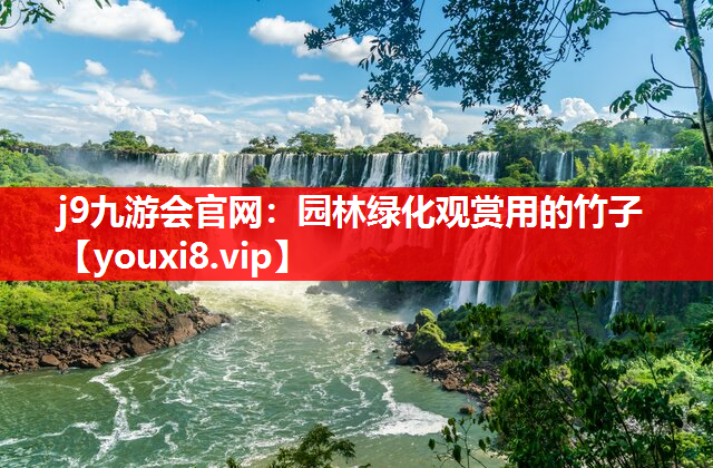 j9九游会官网：园林绿化观赏用的竹子