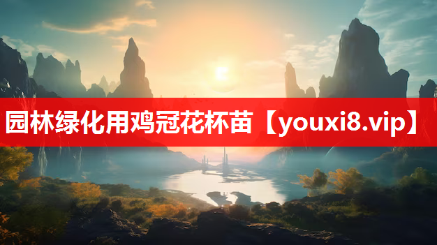园林绿化用鸡冠花杯苗