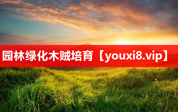 园林绿化木贼培育